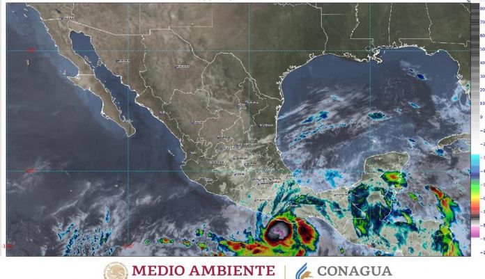 WhatsApp Image 2022-05-30 at 9.07.33 AM