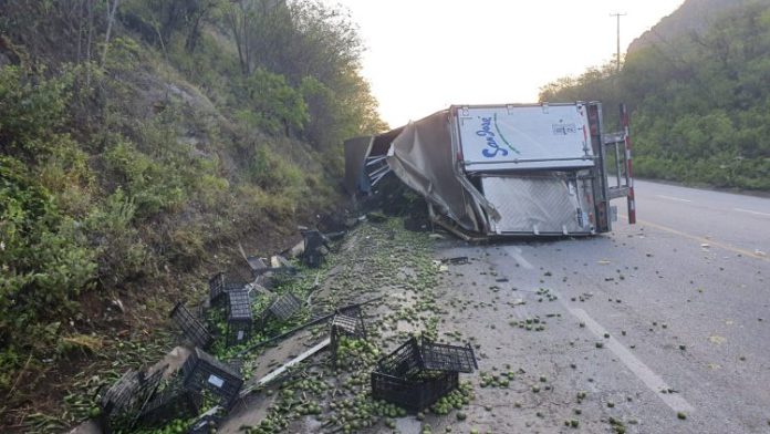 WhatsApp Image 2022-09-11 at 11.31.01 AM