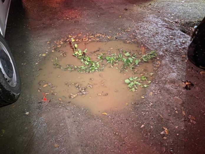 WhatsApp Image 2022-11-02 at 1.40.24 PM (1)