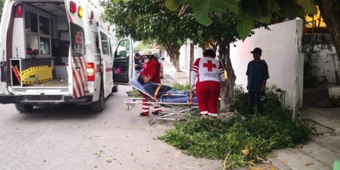 WhatsApp Image 2022-11-15 at 8.39.40 AM