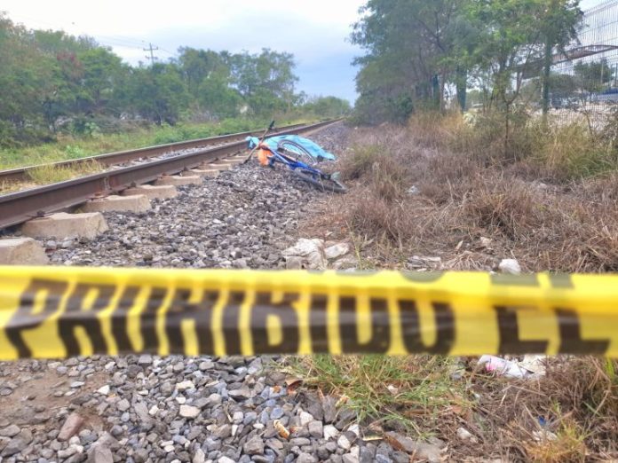 WhatsApp Image 2023-01-23 at 9.12.46 AM