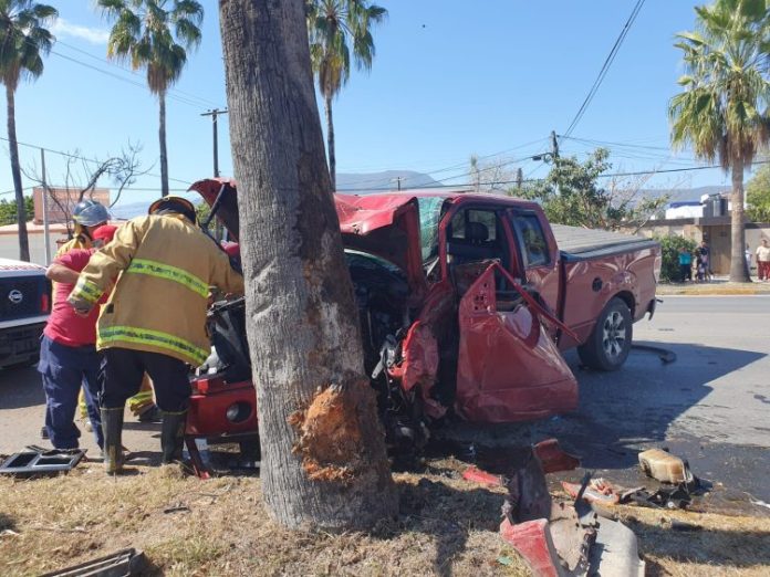 WhatsApp Image 2023-01-29 at 1.40.20 PM (2)