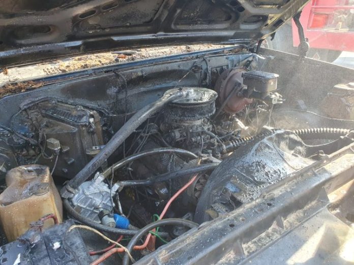 WhatsApp Image 2023-01-30 at 12.32.50 PM