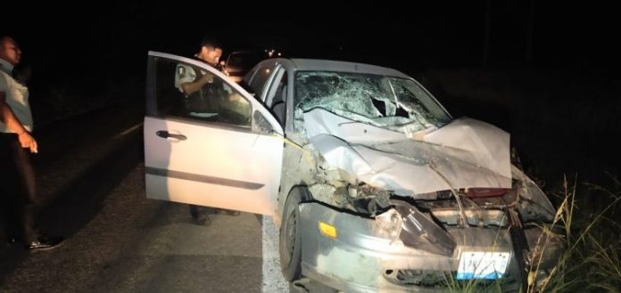 424d4423-7c61-4353-afae-a63397d01423