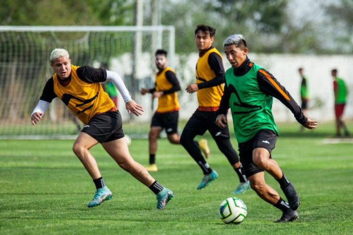 WhatsApp Image 2023-04-05 at 2.29.37 PM