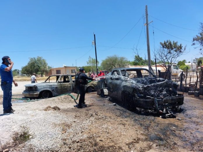 WhatsApp Image 2023-06-28 at 1.46.55 PM (1)