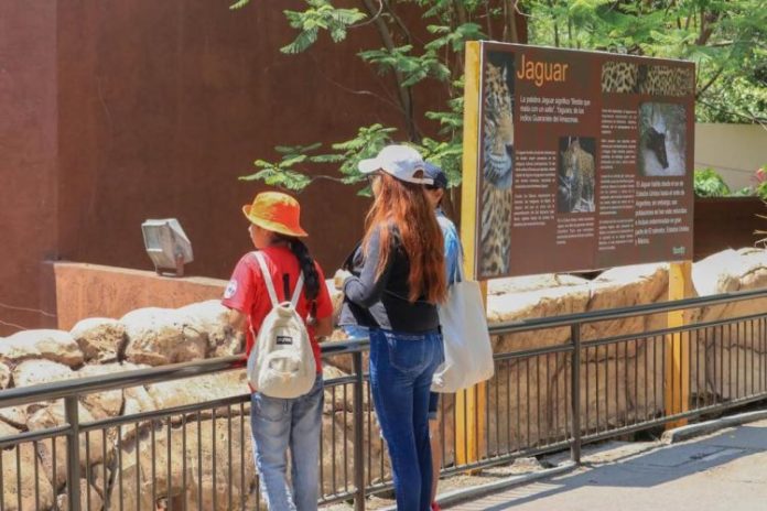 WhatsApp Image 2023-06-28 at 11.00.21 AM