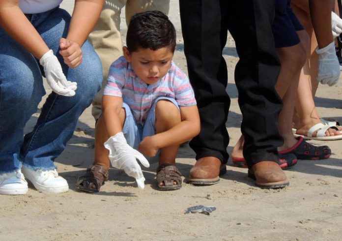 CPB-016-2023.-Reciben infantes útiles escolares y apoyan liberación de crías de tortugas marinas en Tamaulipas (5)