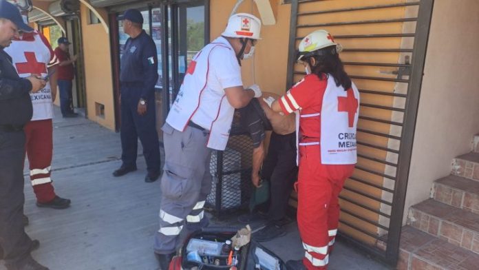 WhatsApp Image 2023-08-07 at 12.59.15 PM