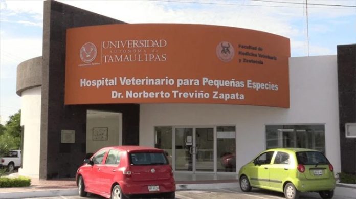 uat veterinaria