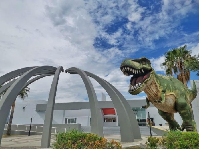 WhatsApp Image 2023-09-11 at 5.16.39 PM