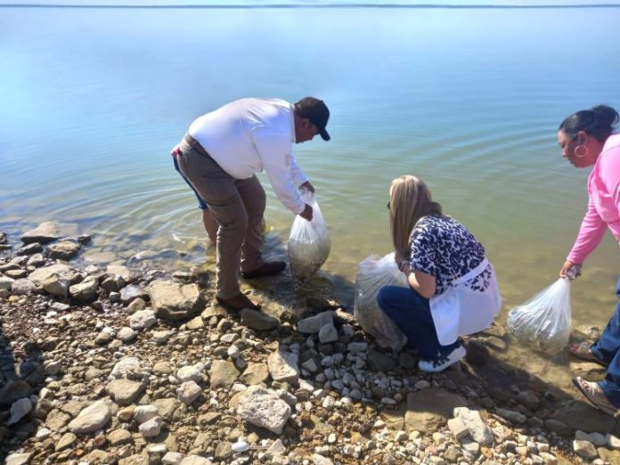 WhatsApp Image 2023-09-20 at 3.18.23 PM