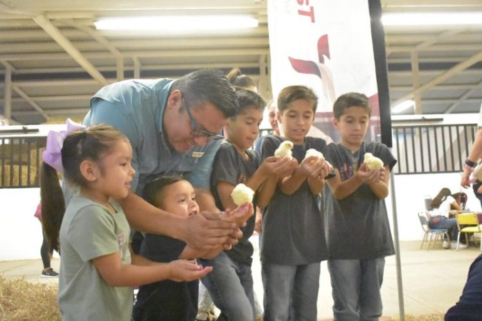 WhatsApp Image 2023-10-24 at 4.32.07 PM