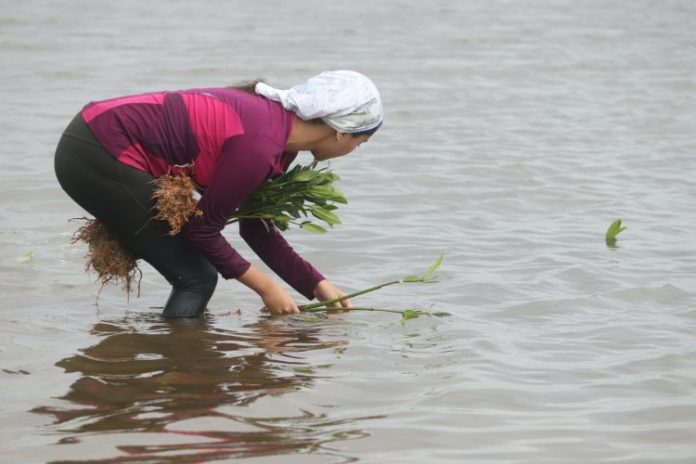 WhatsApp Image 2023-10-27 at 5.51.50 PM (1)