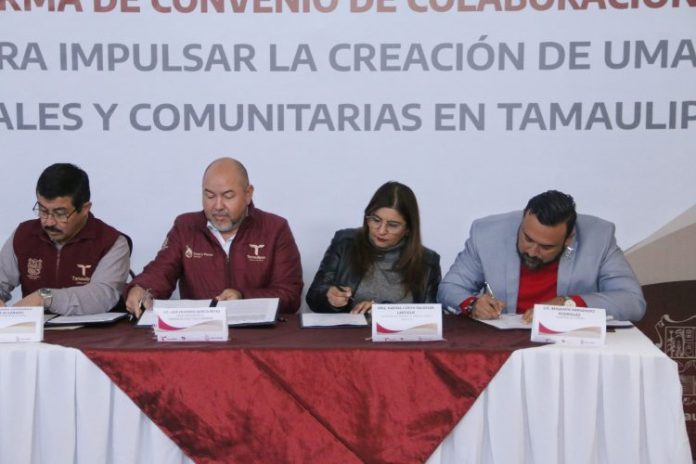 WhatsApp Image 2023-10-30 at 7.19.55 PM