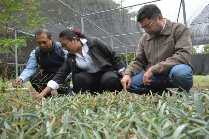 WhatsApp Image 2023-10-31 at 12.47.34 PM