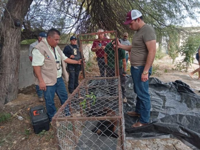 f45a640a-4ad2-4b2a-a95d-a6c56ab20580