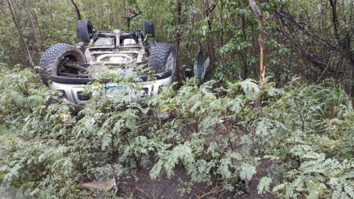 WhatsApp Image 2023-11-27 at 11.21.21 AM