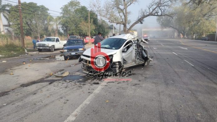 InShot_20240220_104137398