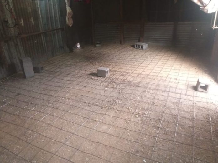 WhatsApp Image 2024-02-08 at 7.29.28 PM