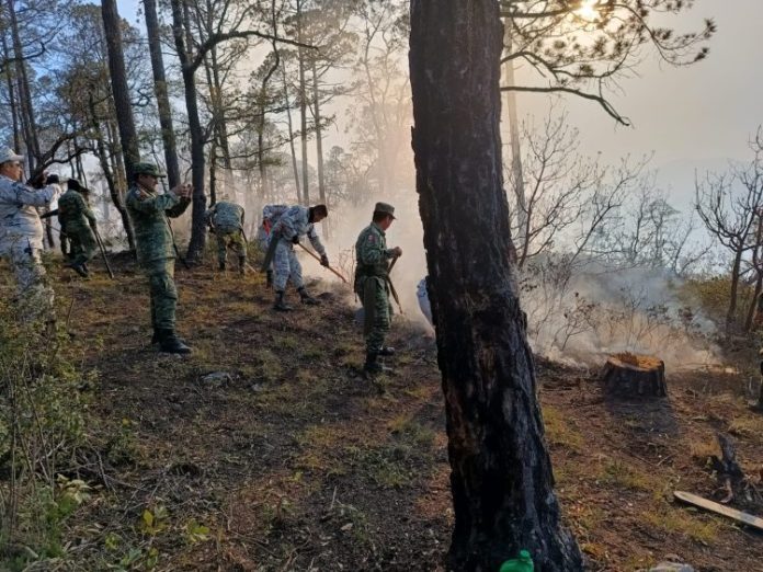 005d4077-5a47-4470-816f-1afe44c19a4c