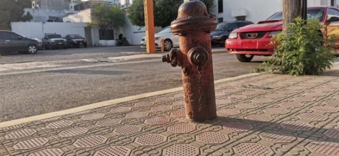 WhatsApp Image 2024-03-05 at 6.22.37 PM