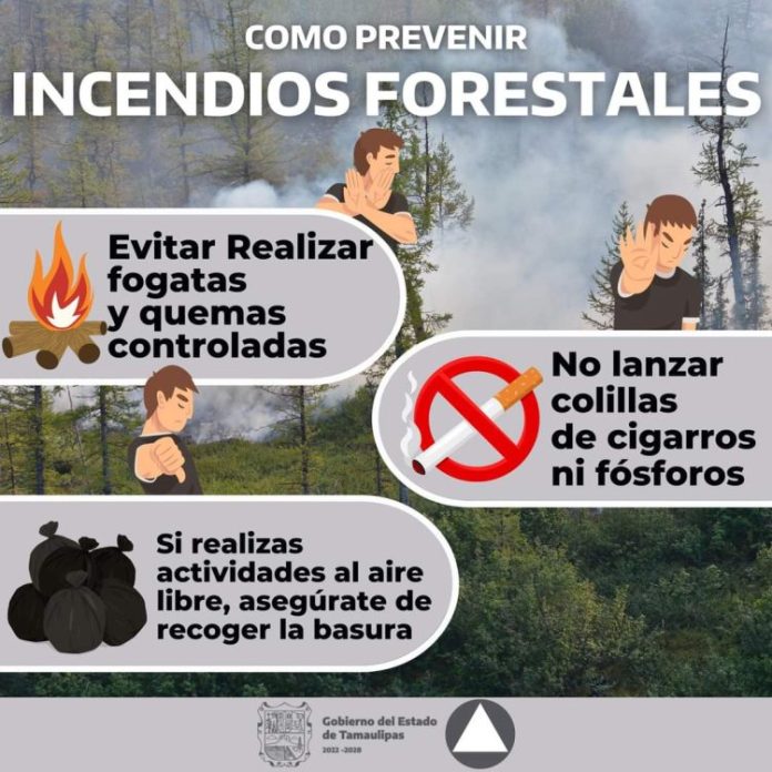 WhatsApp Image 2024-03-12 at 4.35.52 PM