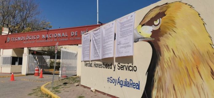 WhatsApp Image 2024-03-13 at 3.55.04 PM