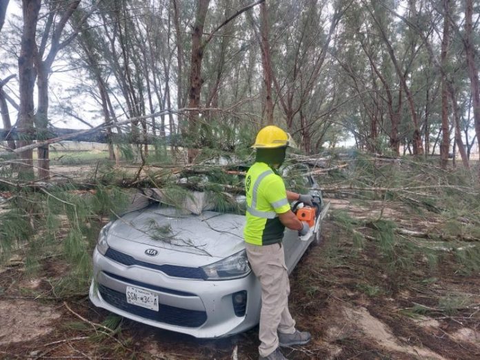 WhatsApp Image 2024-03-18 at 12.40.39 PM