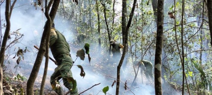 ae955f37-de12-42a6-958e-954538203300