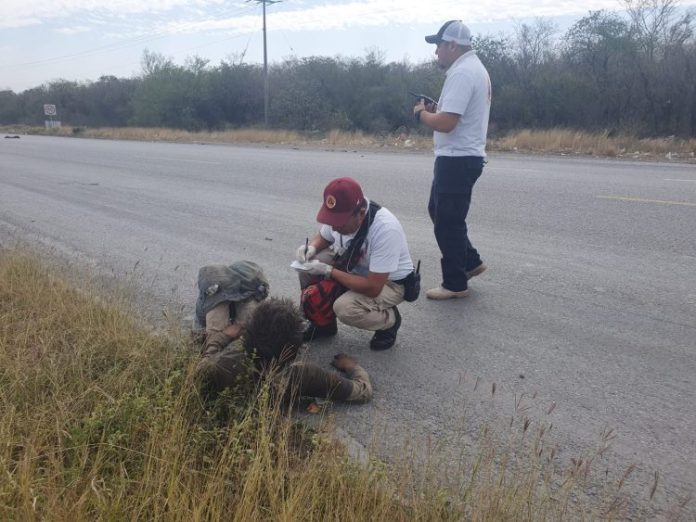 WhatsApp Image 2024-04-02 at 11.38.16 AM