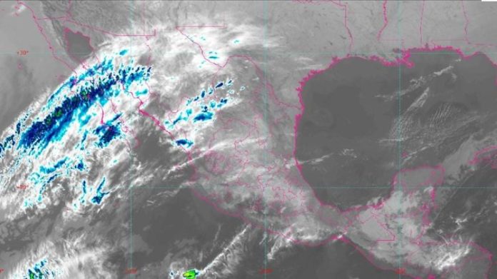 WhatsApp Image 2024-04-12 at 7.28.22 AM