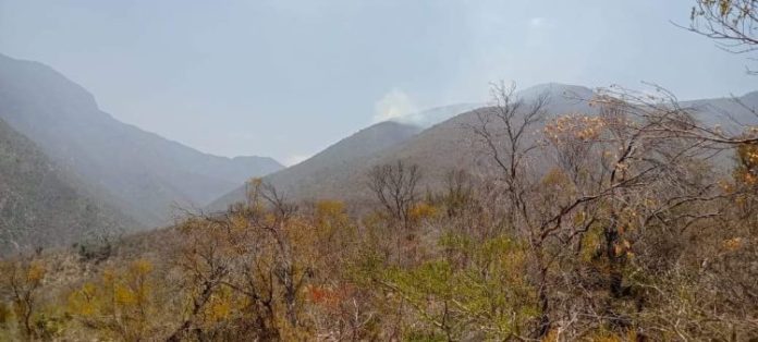 23393c1a-53ee-463d-89a5-566a3e81e67b