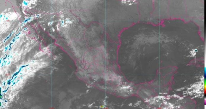 WhatsApp Image 2024-05-20 at 7.48.08 AM