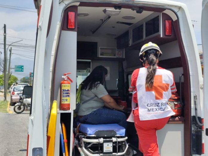 WhatsApp Image 2024-06-04 at 16.53.13