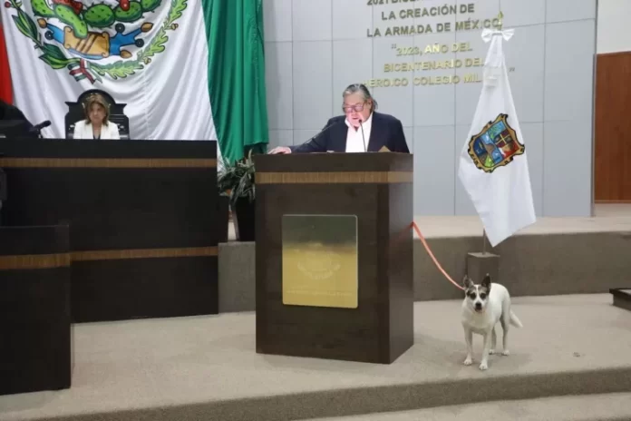 WhatsApp Image 2024-06-10 at 6.29.38 PM