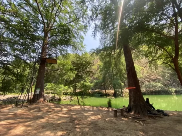 WhatsApp Image 2024-06-11 at 14.53.28