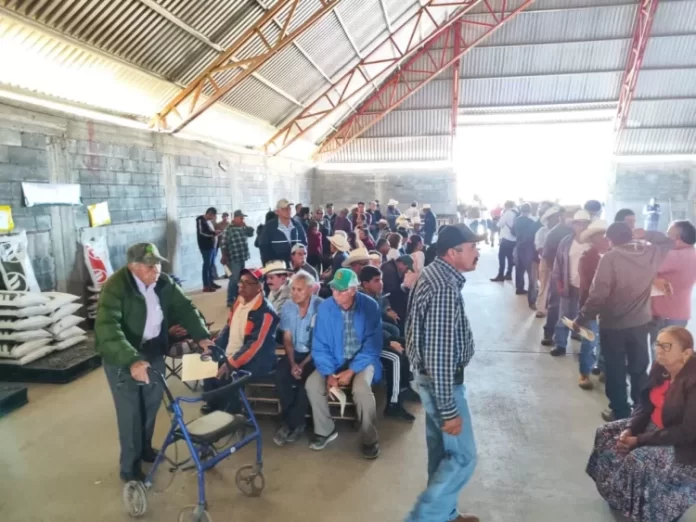 WhatsApp Image 2024-06-12 at 14.16.09