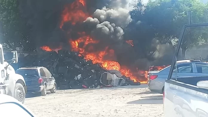 WhatsApp Image 2024-06-14 at 4.58.41 PM