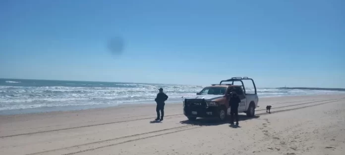 WhatsApp Image 2024-06-19 at 15.52.17