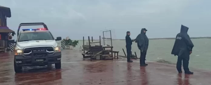 WhatsApp Image 2024-06-20 at 2.56.49 PM