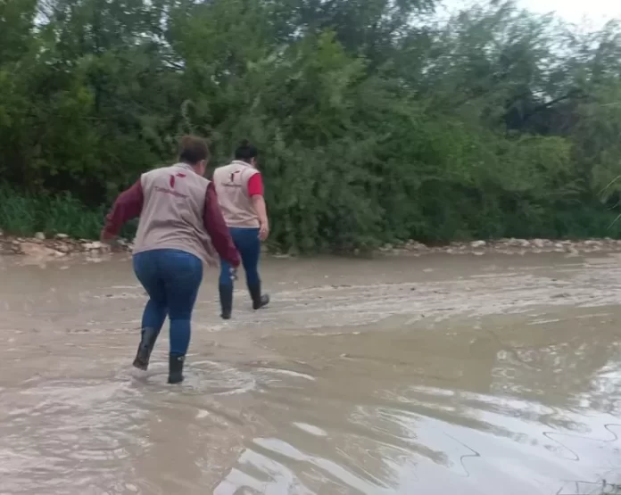 WhatsApp Image 2024-06-20 at 3.29.29 PM