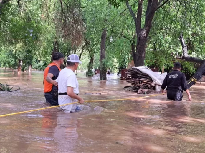 WhatsApp Image 2024-06-20 at 6.25.49 PM (2)