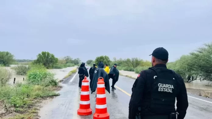 WhatsApp Image 2024-06-22 at 2.56.10 PM