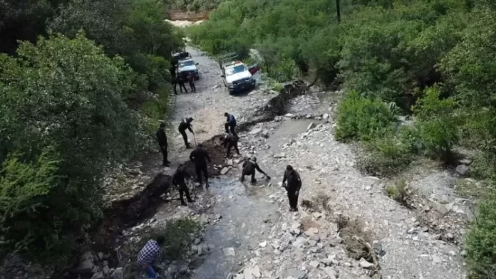 WhatsApp Image 2024-06-26 at 7.40.15 PM