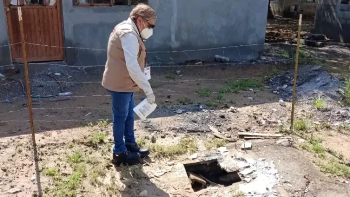 WhatsApp Image 2024-06-28 at 2.42.28 PM