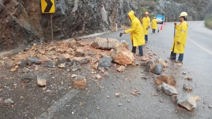 WhatsApp Image 2024-06-28 at 4.17.45 PM