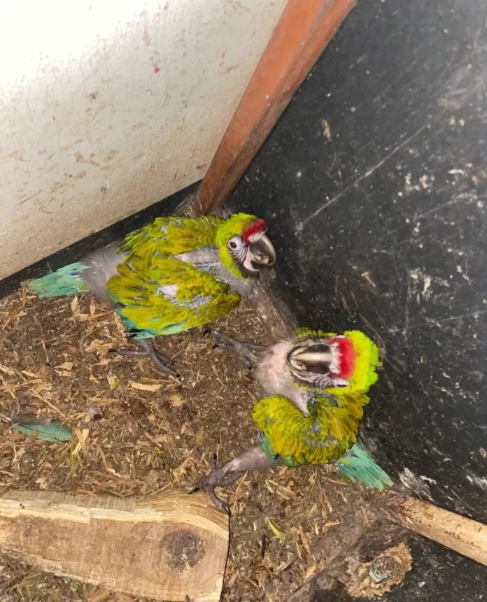 Screenshot_20240714_201623_Drive