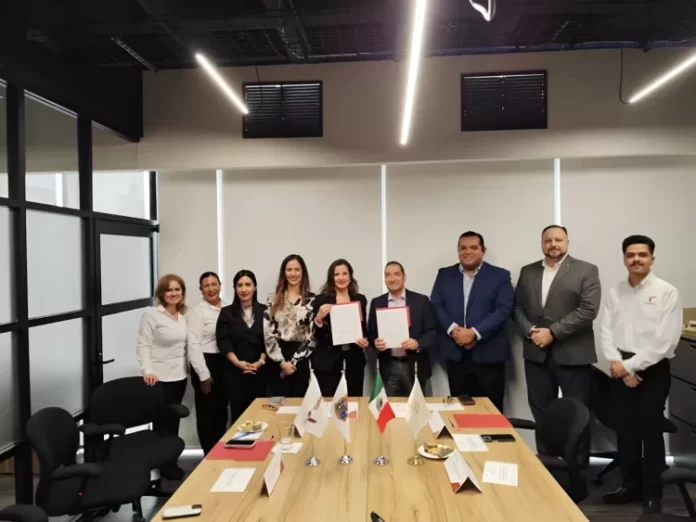 WhatsApp Image 2024-07-01 at 3.00.42 PM