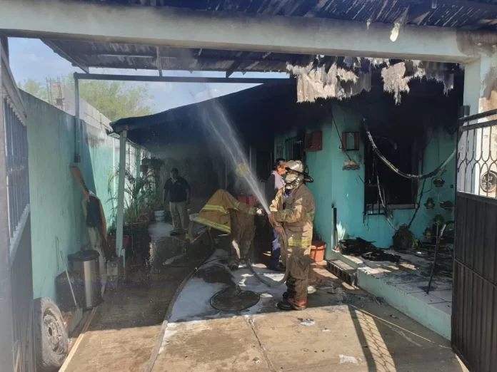 WhatsApp Image 2024-07-08 at 10.38.54 AM